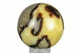 Polished Septarian Sphere - Madagascar #260039-1